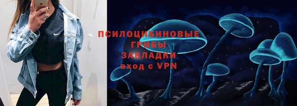 гашик Осташков