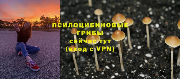 гашик Осташков
