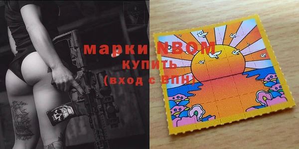 гашик Осташков