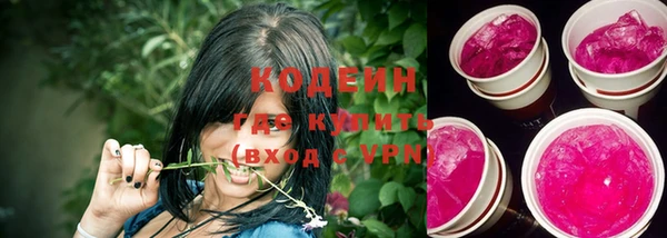 гашик Осташков