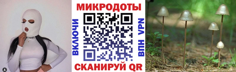 Псилоцибиновые грибы MAGIC MUSHROOMS  цена наркотик  Фрязино 