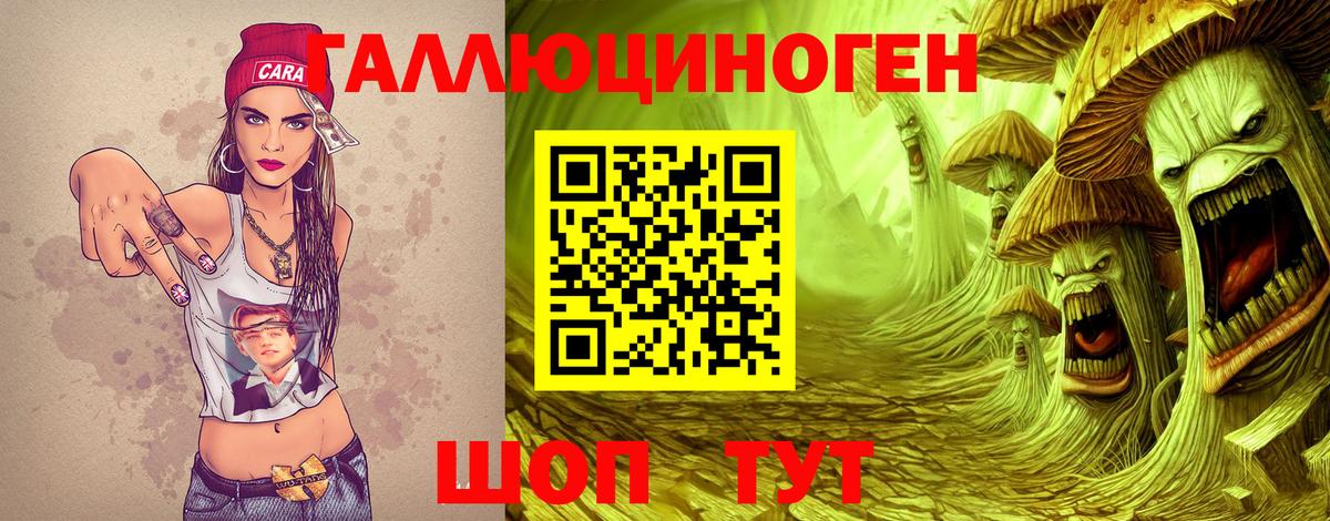 Галлюциногенные грибы GOLDEN TEACHER Фрязино